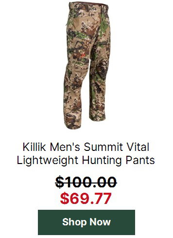 View product recommended for you