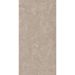 Coralstone Buff Brown 60cm x 120cm 2cm Slab Tile