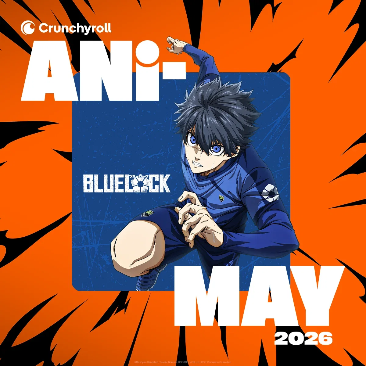 Celebrate ANI-MAY!