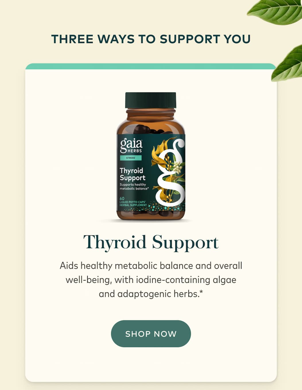 Thyroid Support