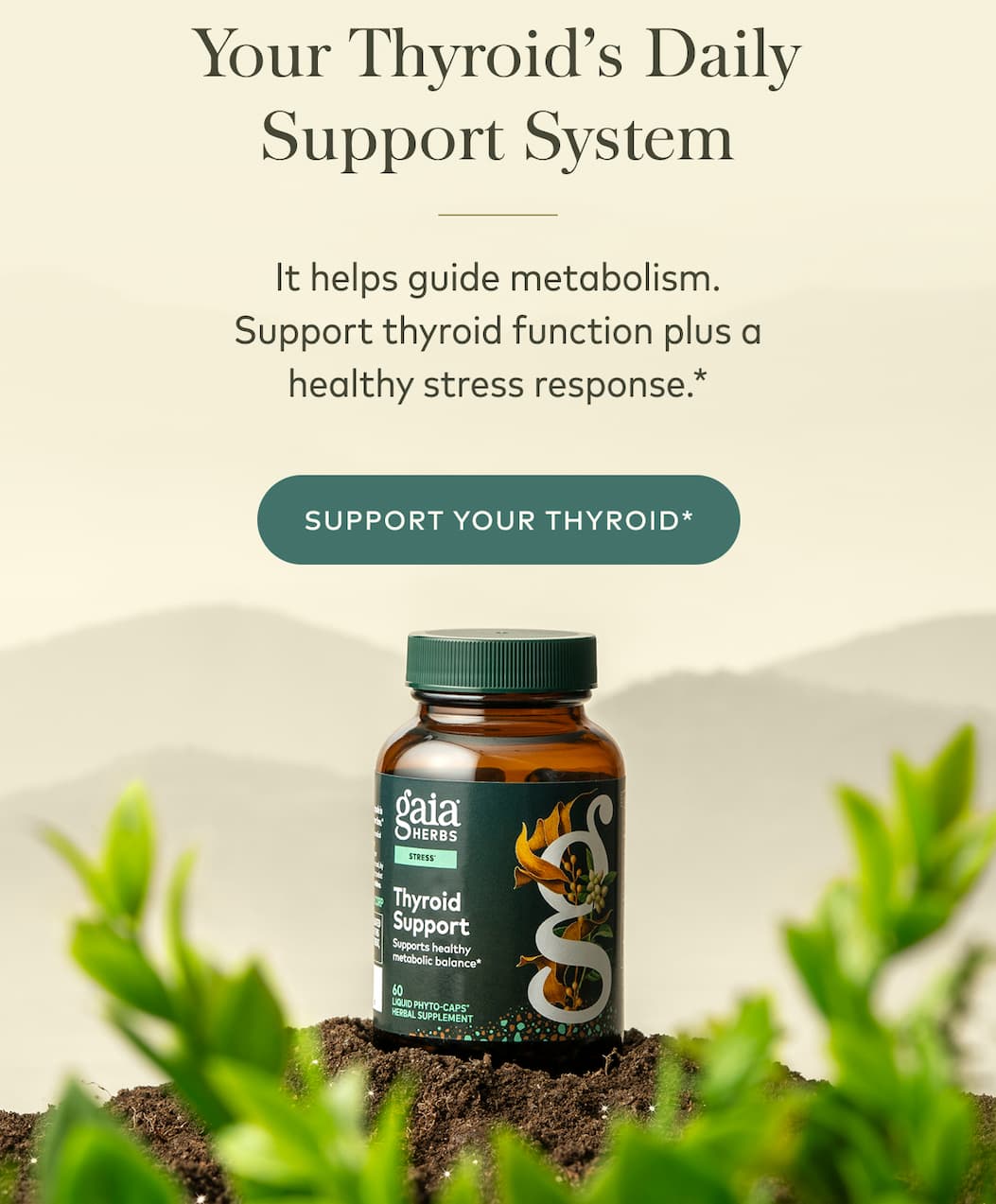 Thyroid Support