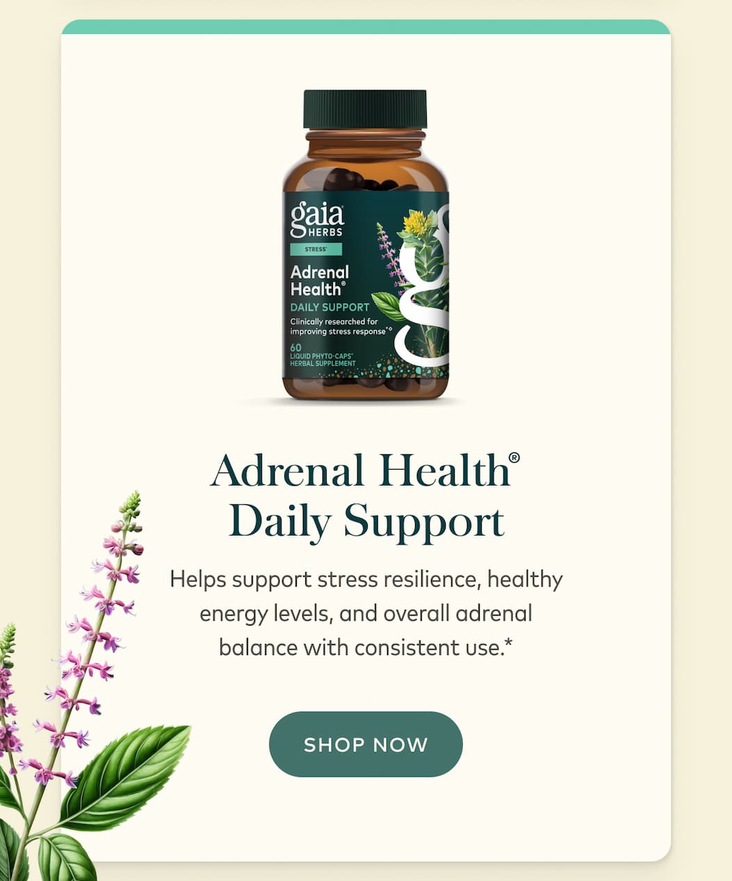 Adrenal Health® Daily Support