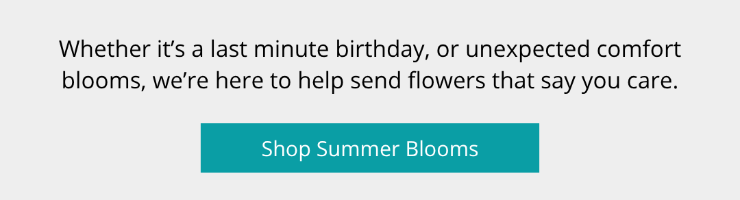 Shop Summer Blooms
