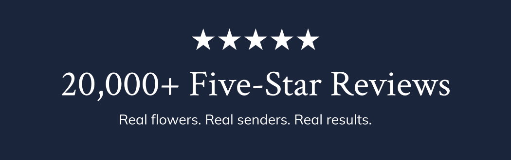 20k Five Star Reviews