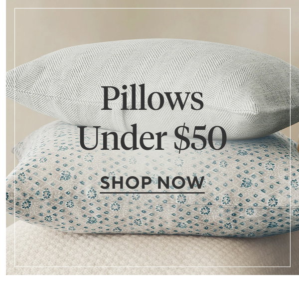 Pillows Under $50 Shop Now