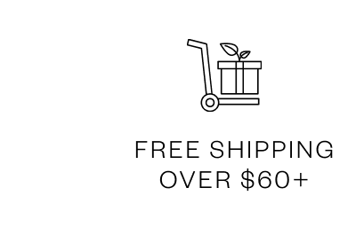 Free Shipping
