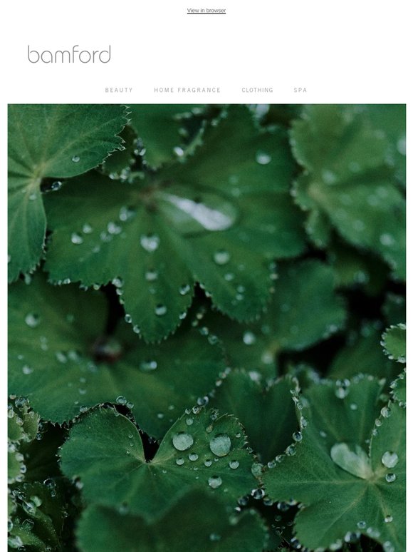 Geranium: The Botanical Story