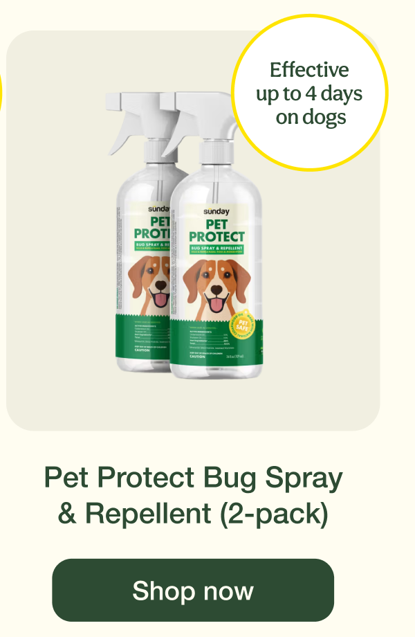 Pet Protect Bug Spray & Repellent (2-pack) | Shop now
