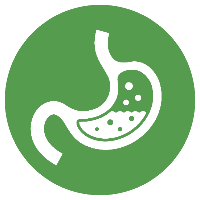 Detox & Digestion