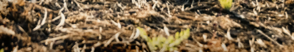 Leatherman Summer Sale Ends Soon