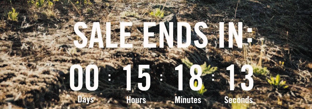 Leatherman Summer Sale Ends Soon