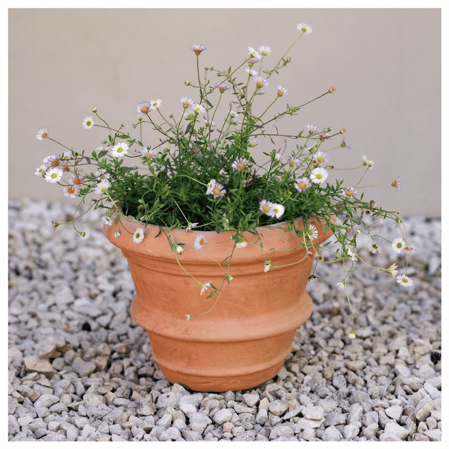 Planters