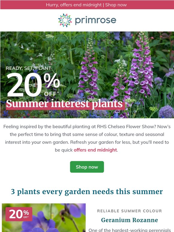 Final call: Save 20% on summer interest plants
