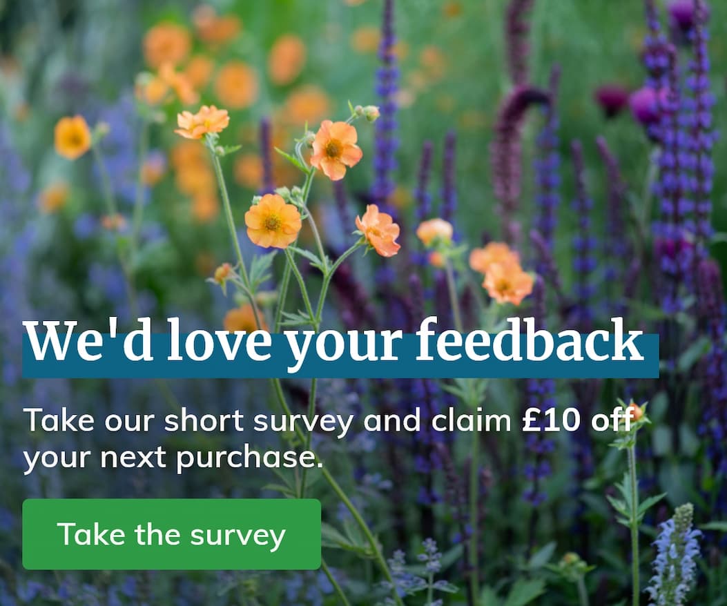 we'd love your feedback