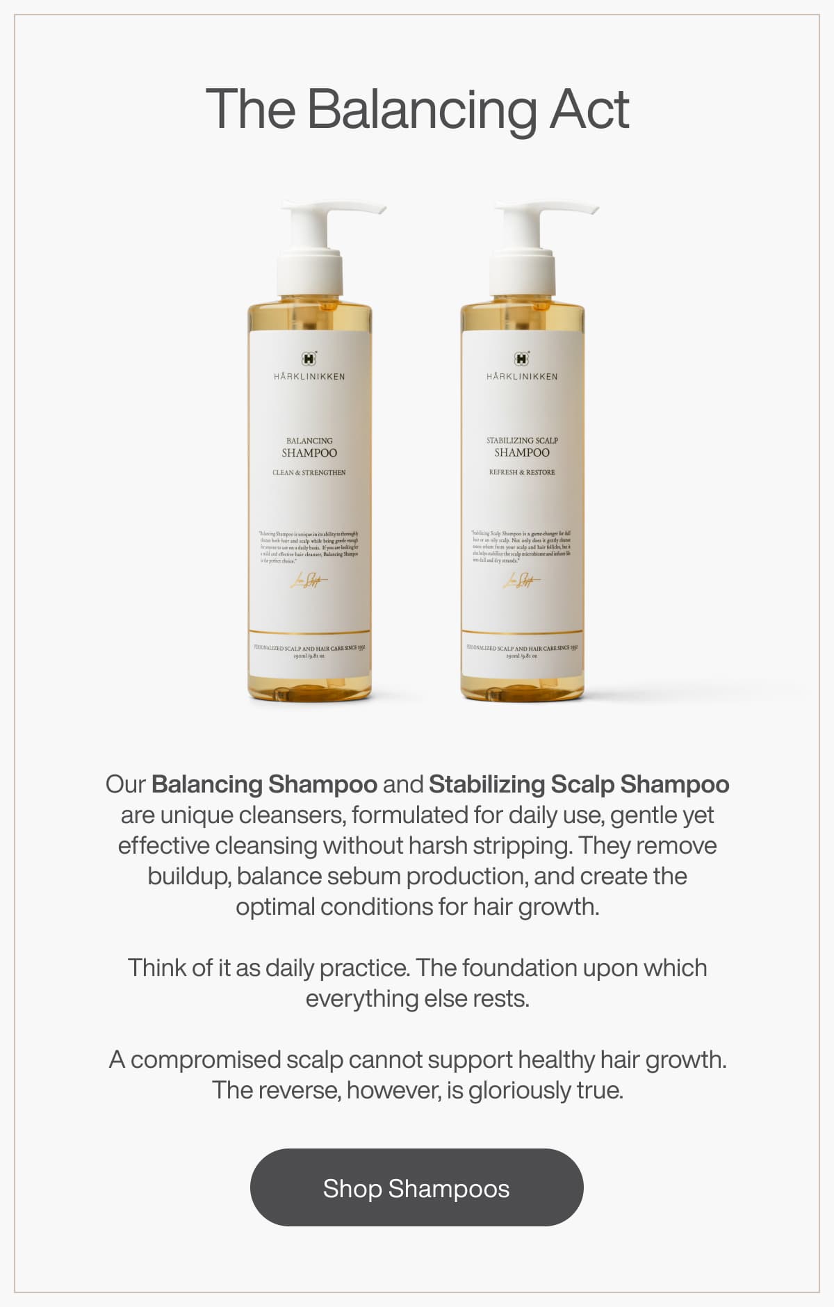 The Balancing Act | [SHOP SHAMPOOS]