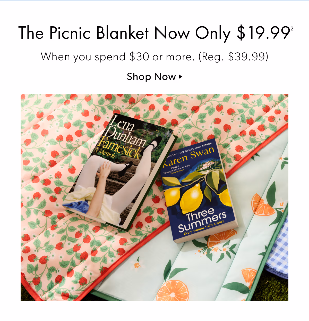 The Picnic Blanket Now Only $19.99 | When you spend $30 or more. (Reg. $39.99)