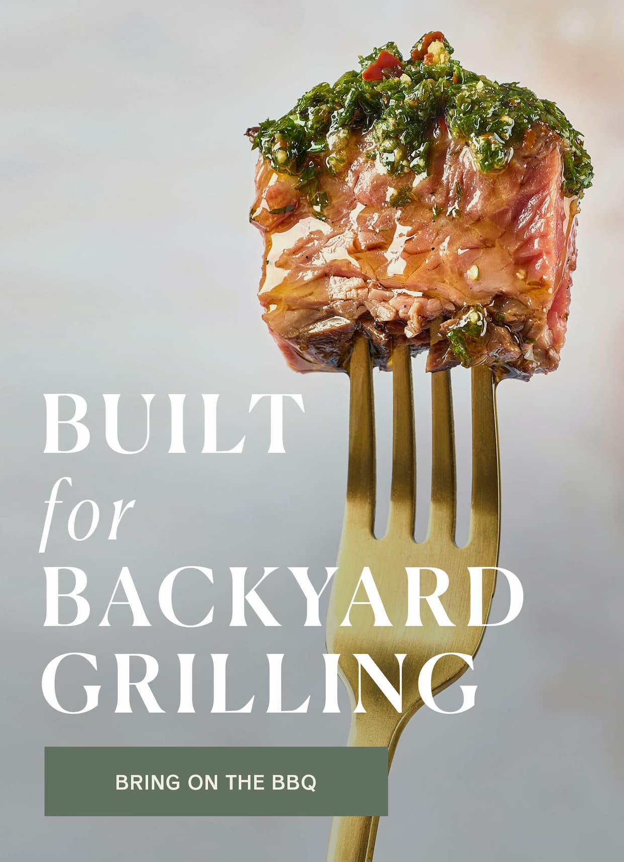 barbecue spices