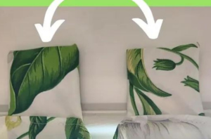 Who needs curtain rods? This privacy hack is downright brilliant!