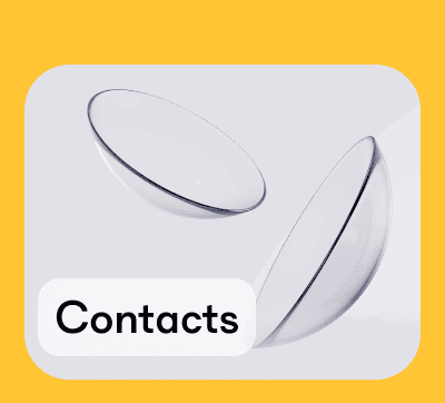 Contacts