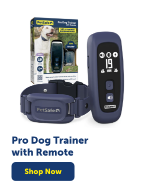 Pro Dog Trainer with Remote