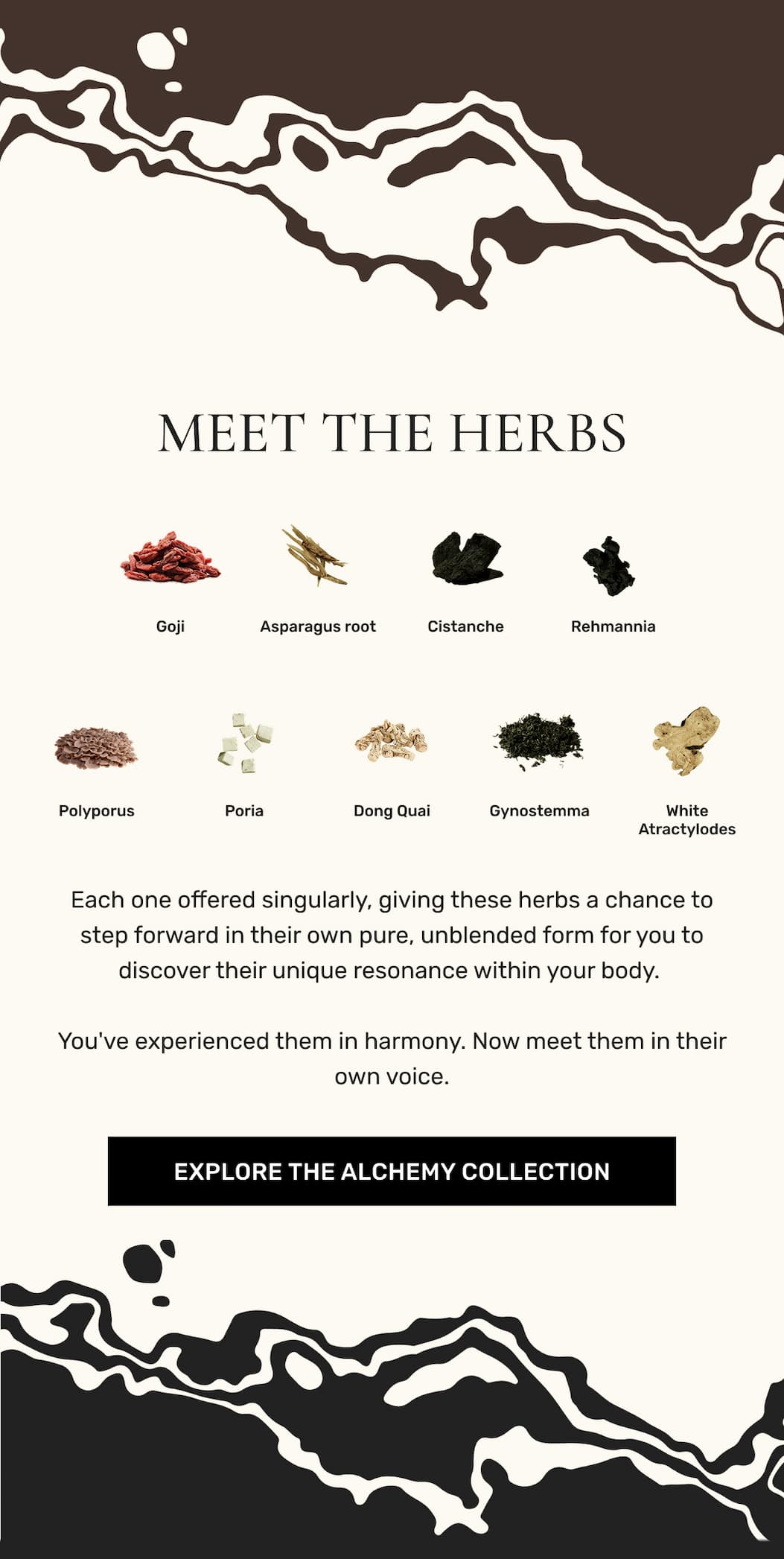 MEET THE HERBS | EXPLORE THE ALCHEMY COLLECTION