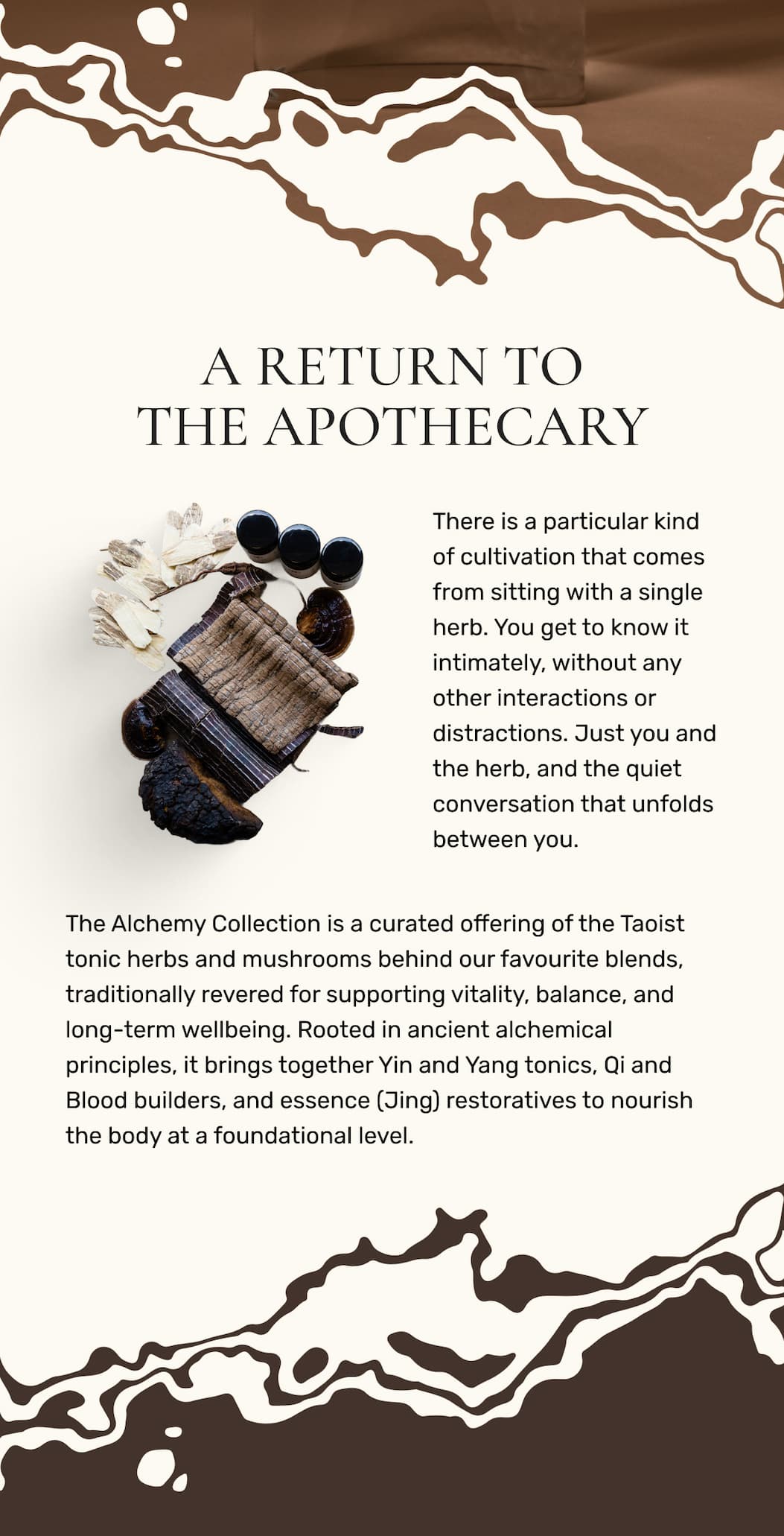 A RETURN TO THE APOTHECARY