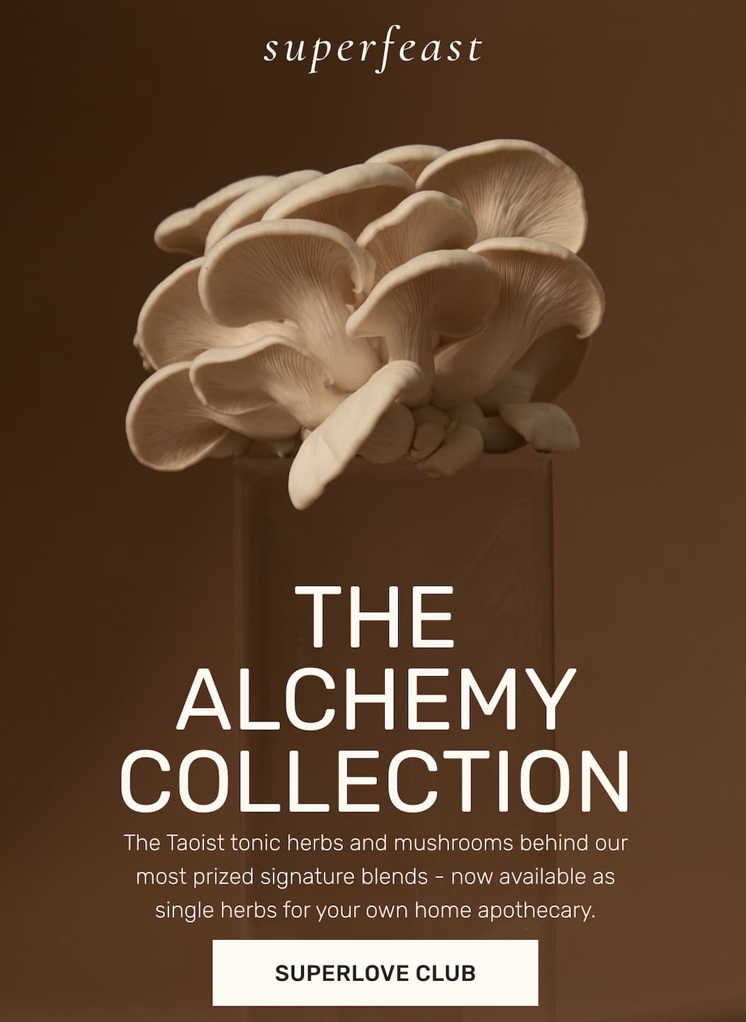 THE ALCHEMY COLLECTION | SUPERLOVE CLUB