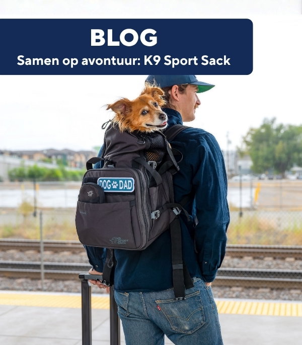 Combinatie 1