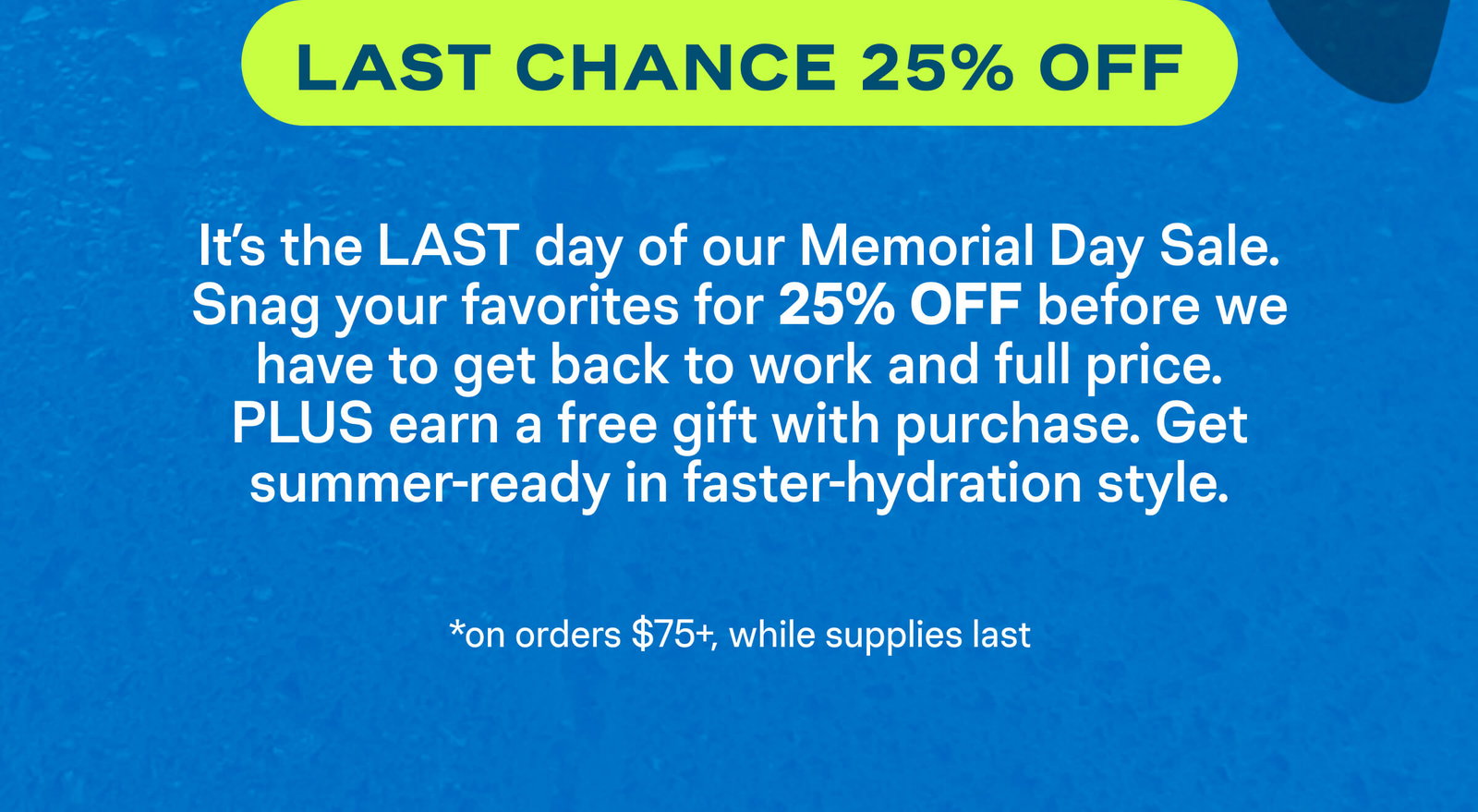 Last Chance 25% Off