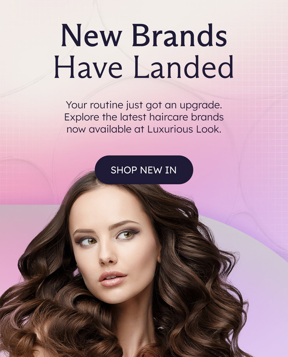 New Brands Have Landed
