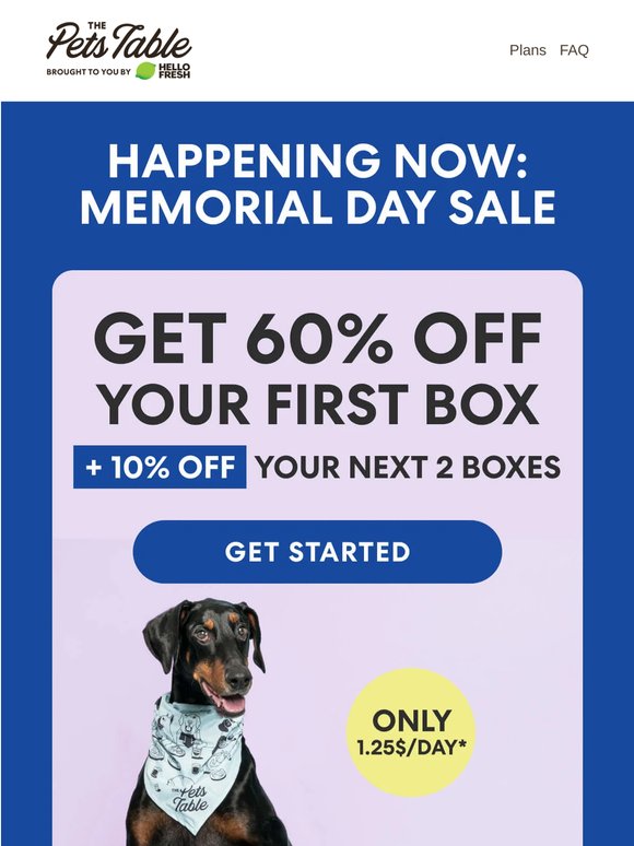 Memorial Day Sale: 60% OFF for your pup ☀️