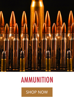 Shop All Ammo