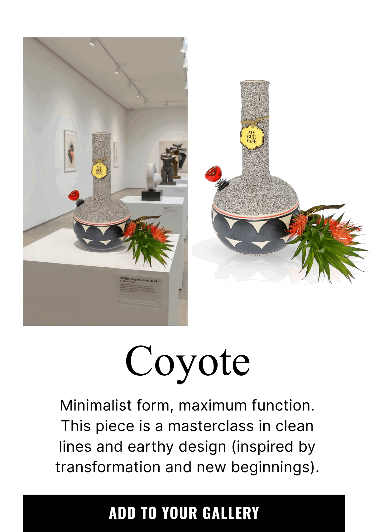 Coyote | Add to Your Gallery
