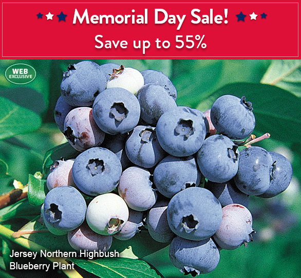 Save up to 50% on select items 