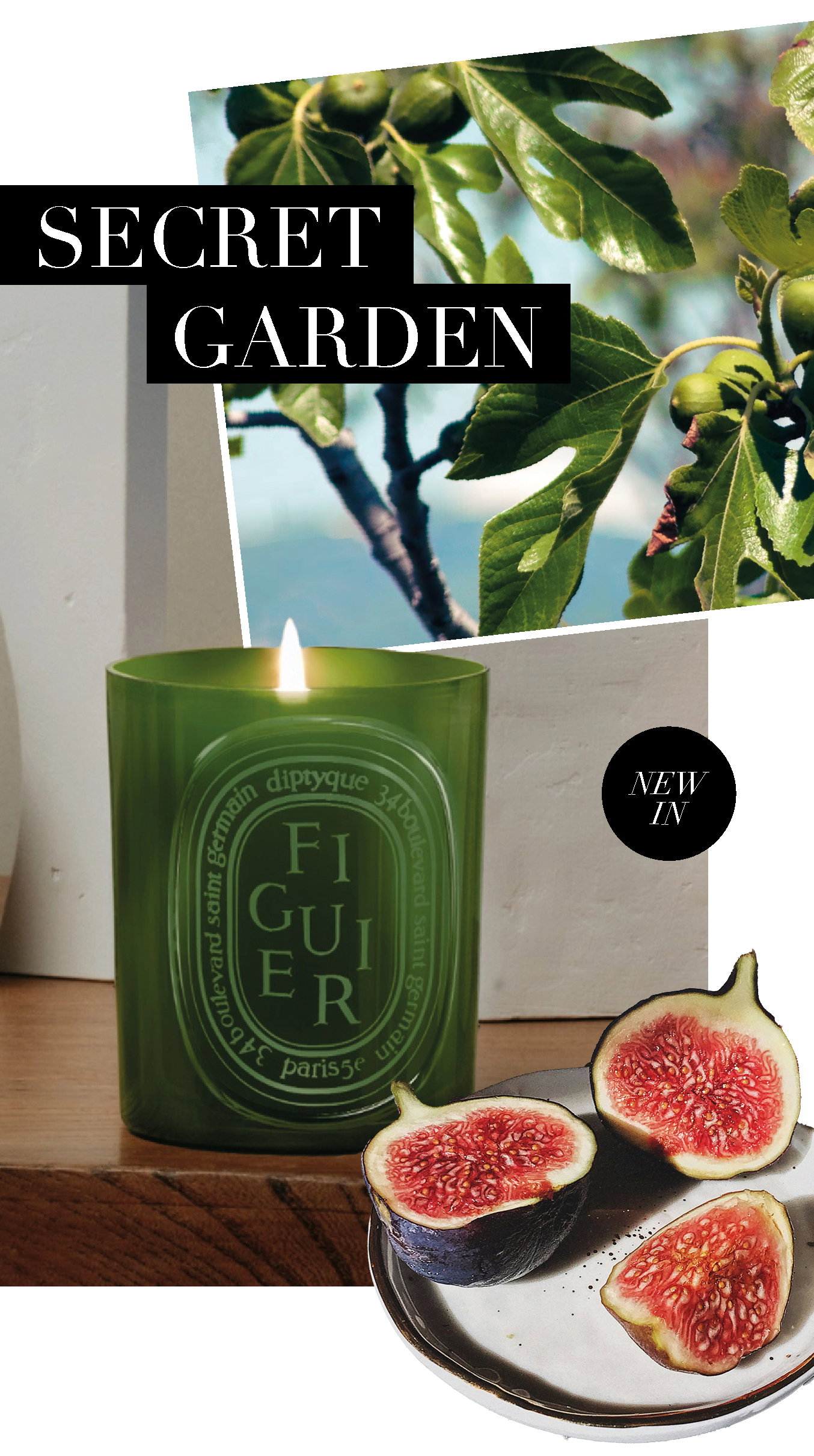 Figuier Medium candle