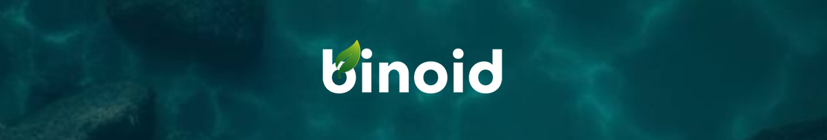 Binoid 