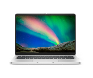 Dell Pro 14 Laptop