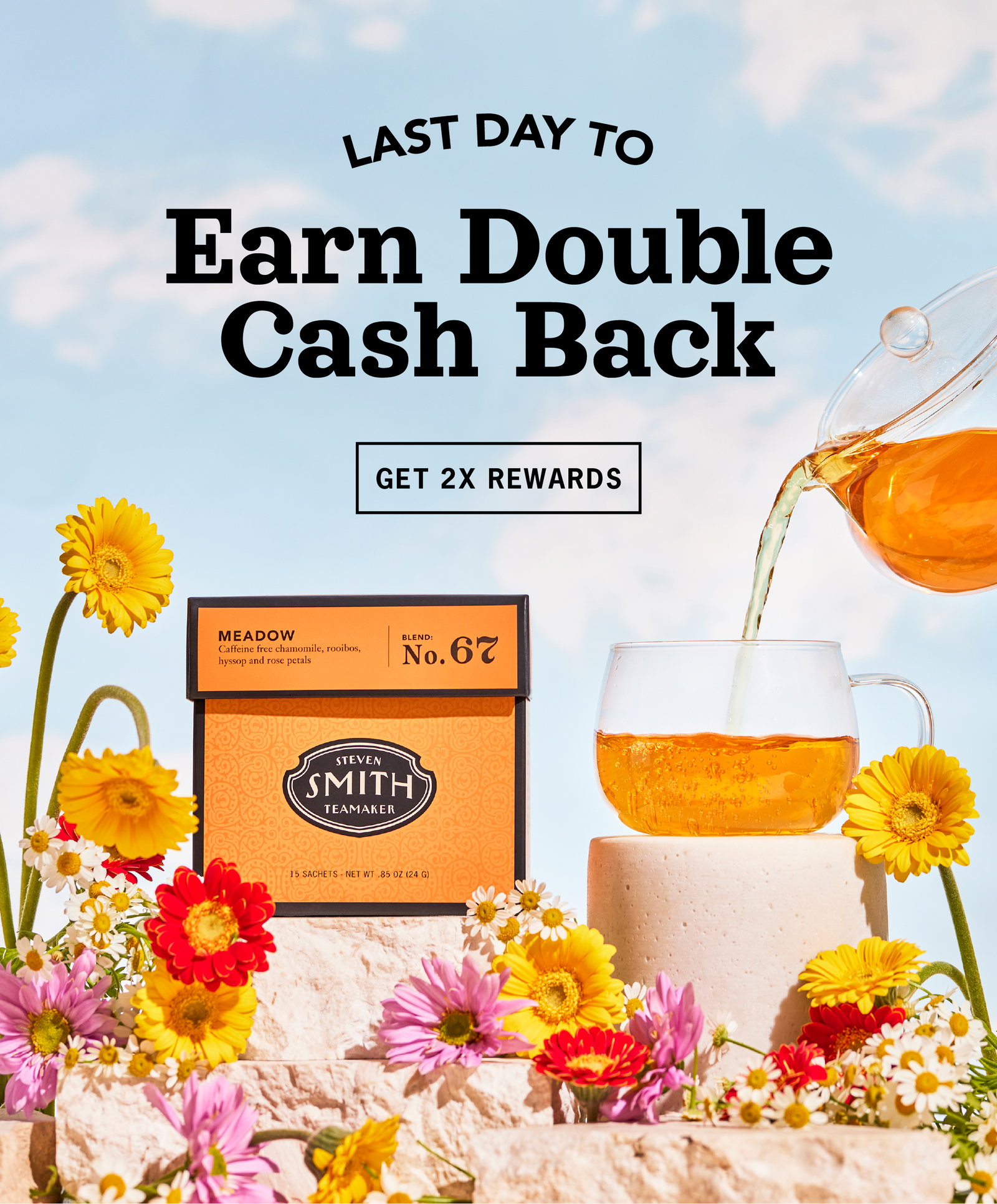 Last Day to Earn Double Cash Back 