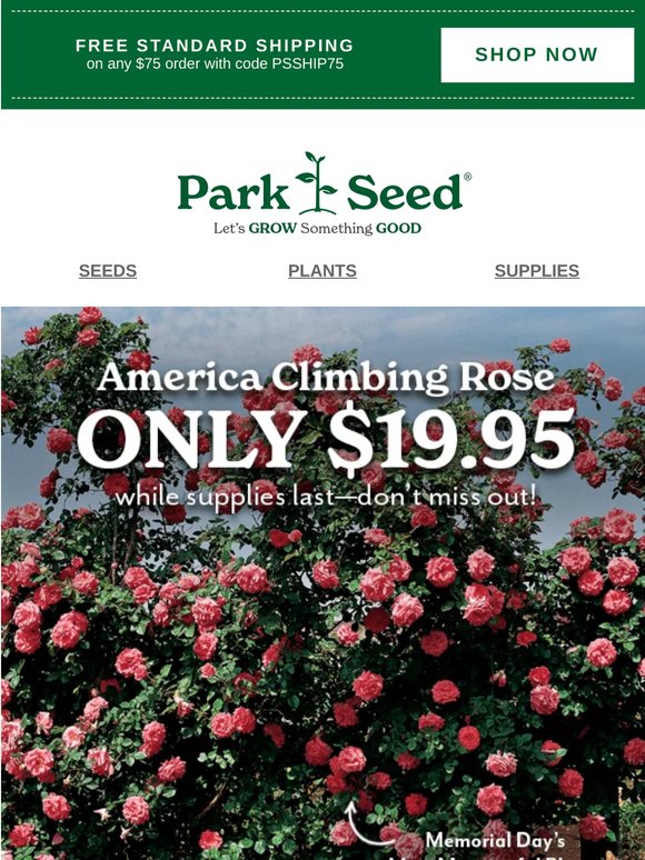 Memorial Day’s Most Beautiful Climber ONLY $19.95