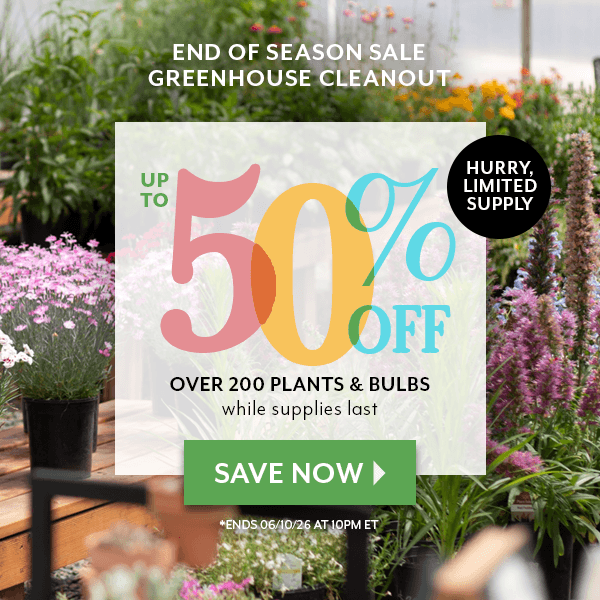 End of Season Sale up to 40% OFF while supplies last
