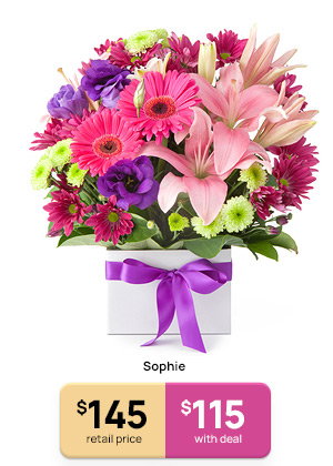 Sophie