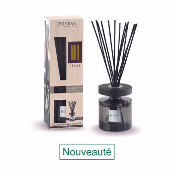 Le bouquet parfumé rechargeable Cèdre Esteban