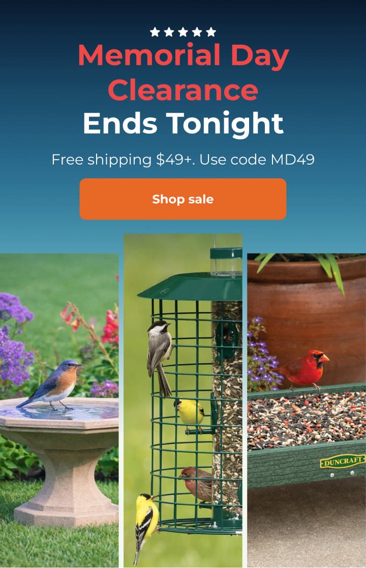 Memorial Day clearance — ends tonight