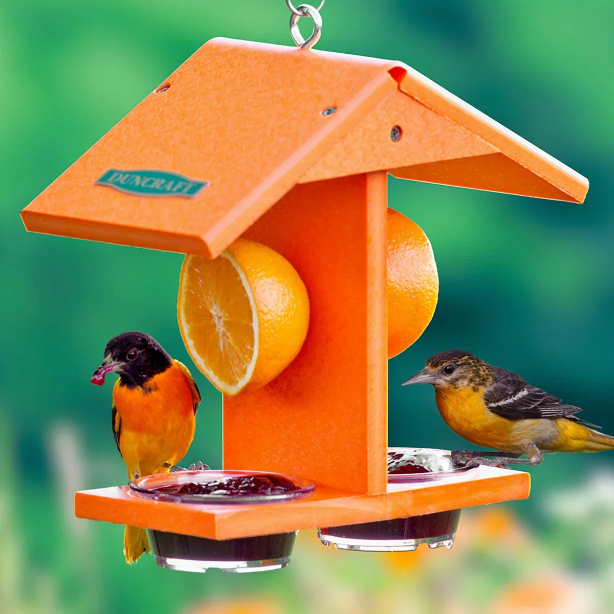 Image of Duncraft Eco-Oriole Fruit & Jelly Feeder