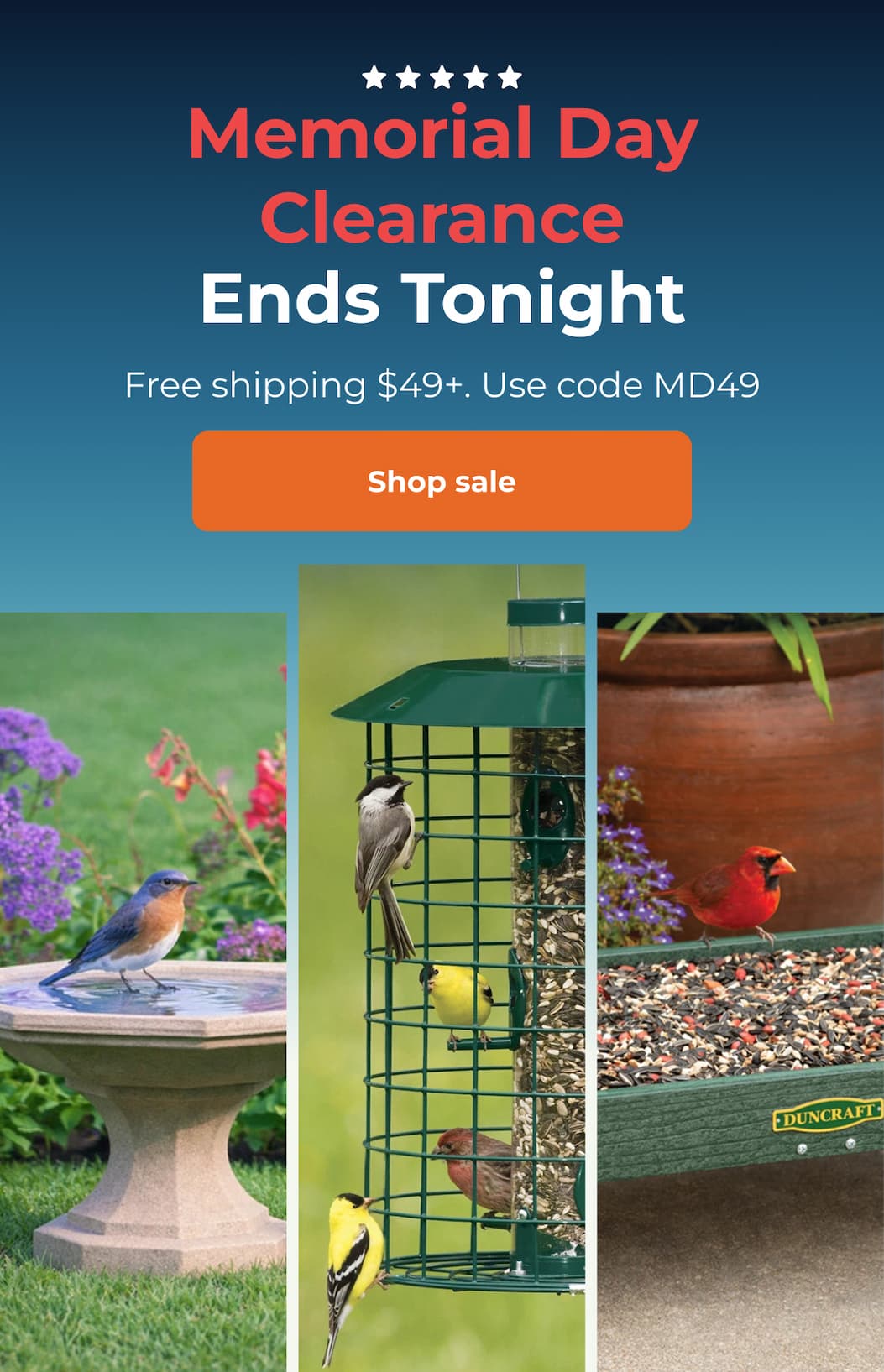 Memorial Day clearance — ends tonight