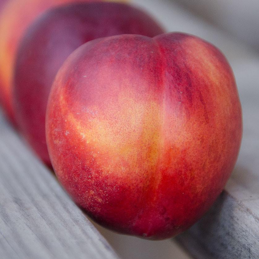 Image of Need My Nectarines | Organic Fruit Club