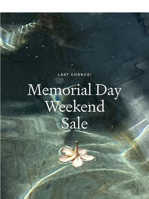 Last Chance to Shop: 50% Off Sale 🌴