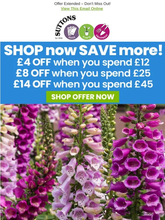 £14 OFF your order! EXTRA 24 HOURS