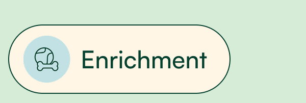 Shop Enrichment