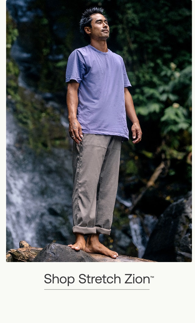 shop men's stretch zion
